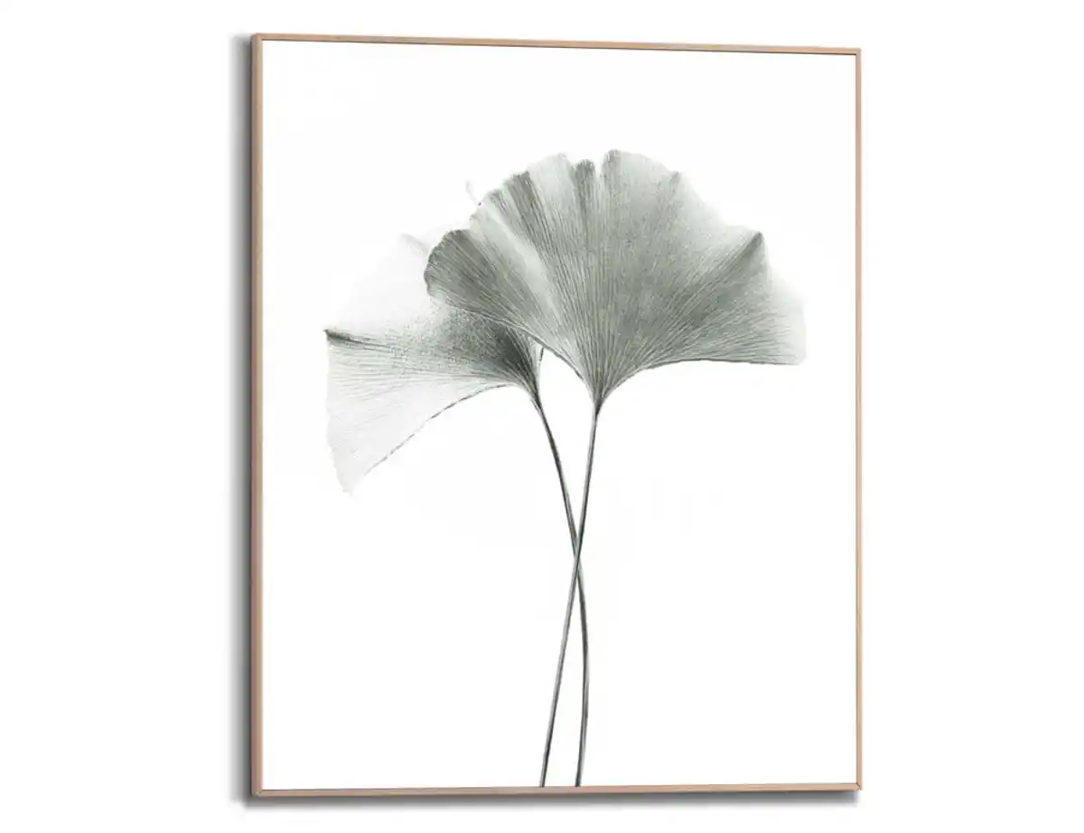 Bild 1 von Bild Slim Frame Wood Ginkgo