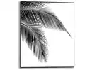 Bild 1 von Bild Slim Frame Black Palme