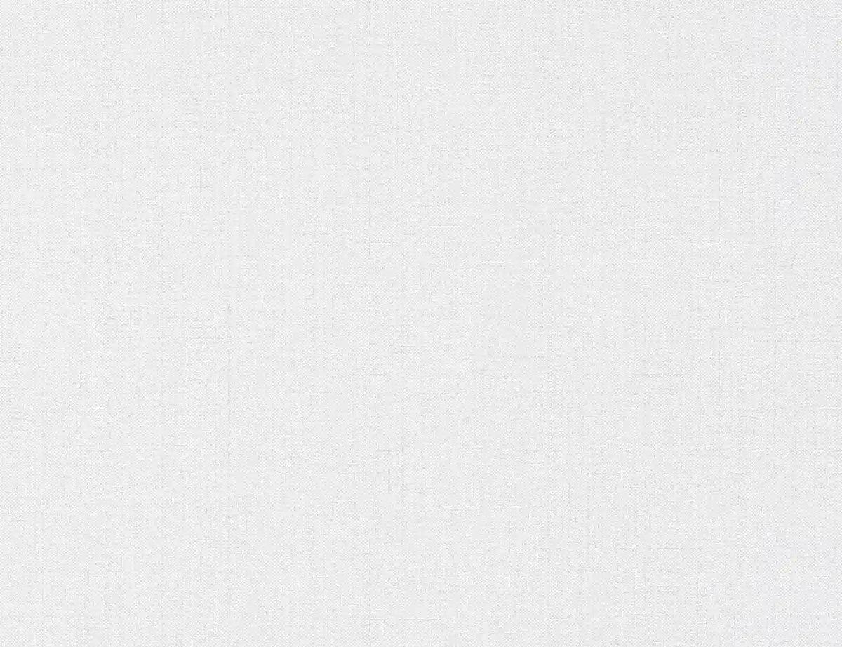 Bild 1 von Vliestapete Uni Hellgrau modern