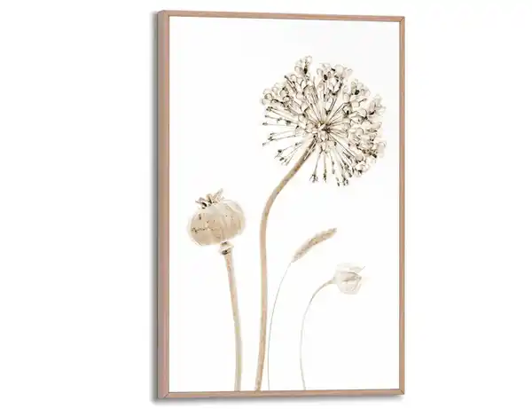 Bild 1 von Bild Slim Frame Wood Trockenblumen