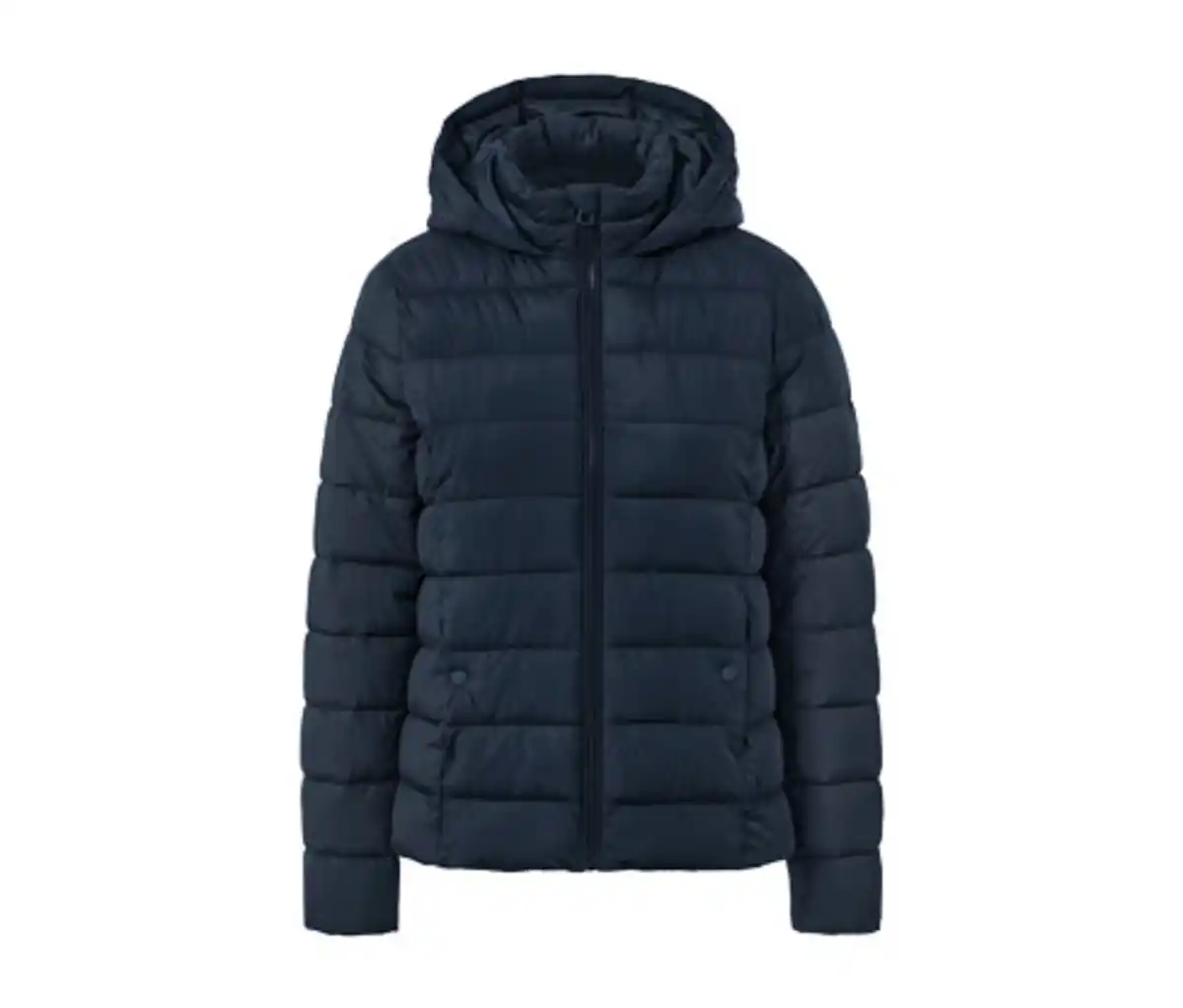 Bild 1 von Steppjacke mit Kapuze, dunkelblau