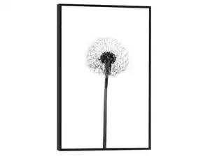 Bild Slim Frame Black Pusteblume