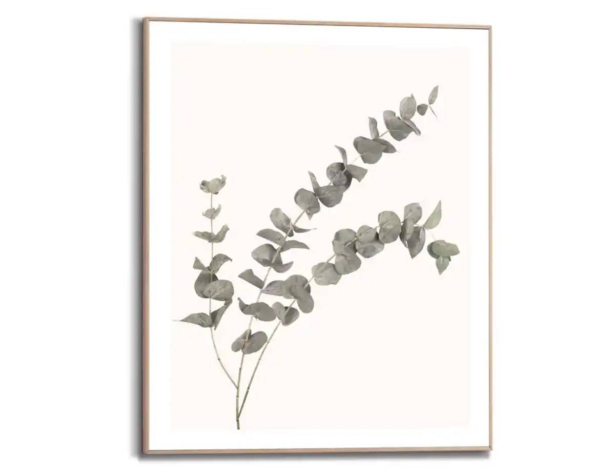 Bild 1 von Bild Slim Frame Wood Eukalyptus 2