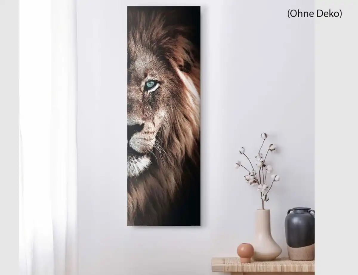 Bild 2 von Bild Blick des Löwen