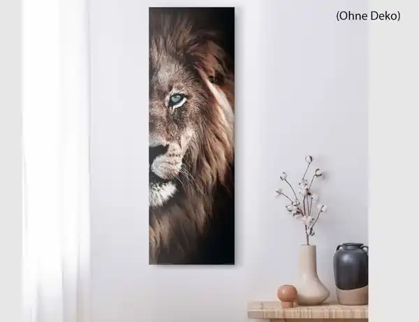 Bild 2 von Bild Blick des Löwen