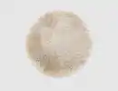 Bild 1 von Teppich Tiamo Beige