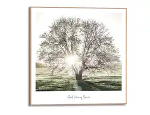 Bild Slim Frame Wood Morgensonne