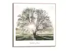Bild 1 von Bild Slim Frame Wood Morgensonne