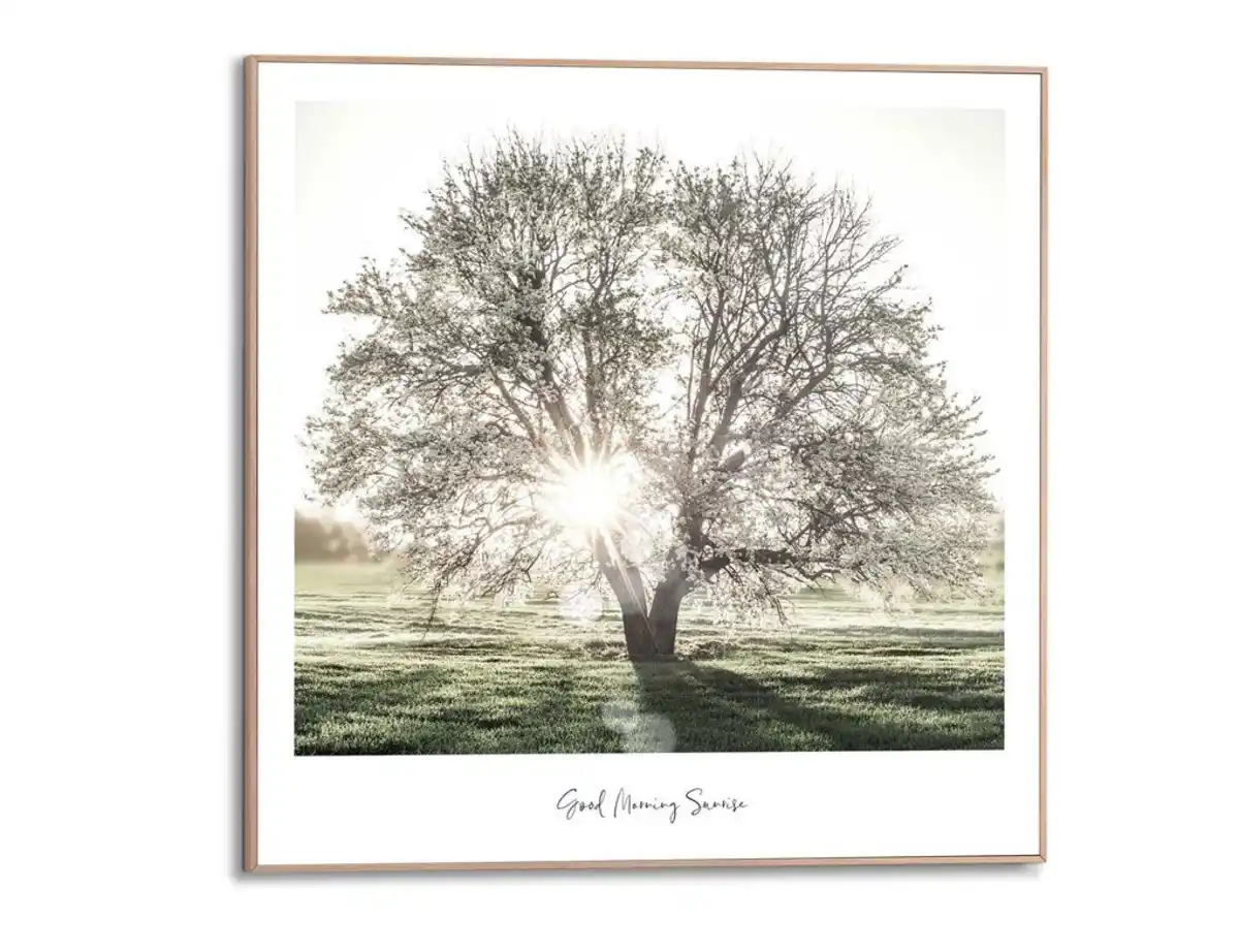 Bild 1 von Bild Slim Frame Wood Morgensonne