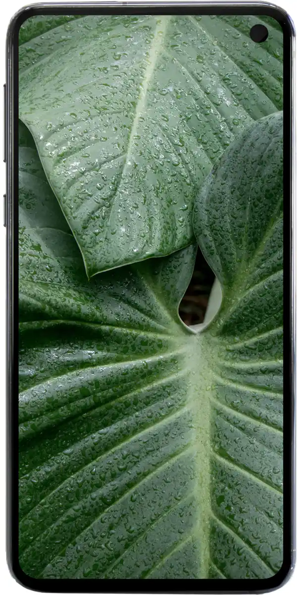 Bild 1 von Samsung Galaxy S10e 128GB Schwarz (Single-SIM) Premium Refurbished  - 0%-Finanzierung (PayPal)