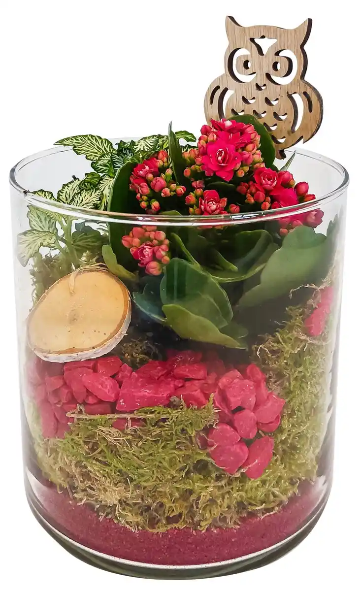 Bild 2 von Bepflanzter Glaszylinder