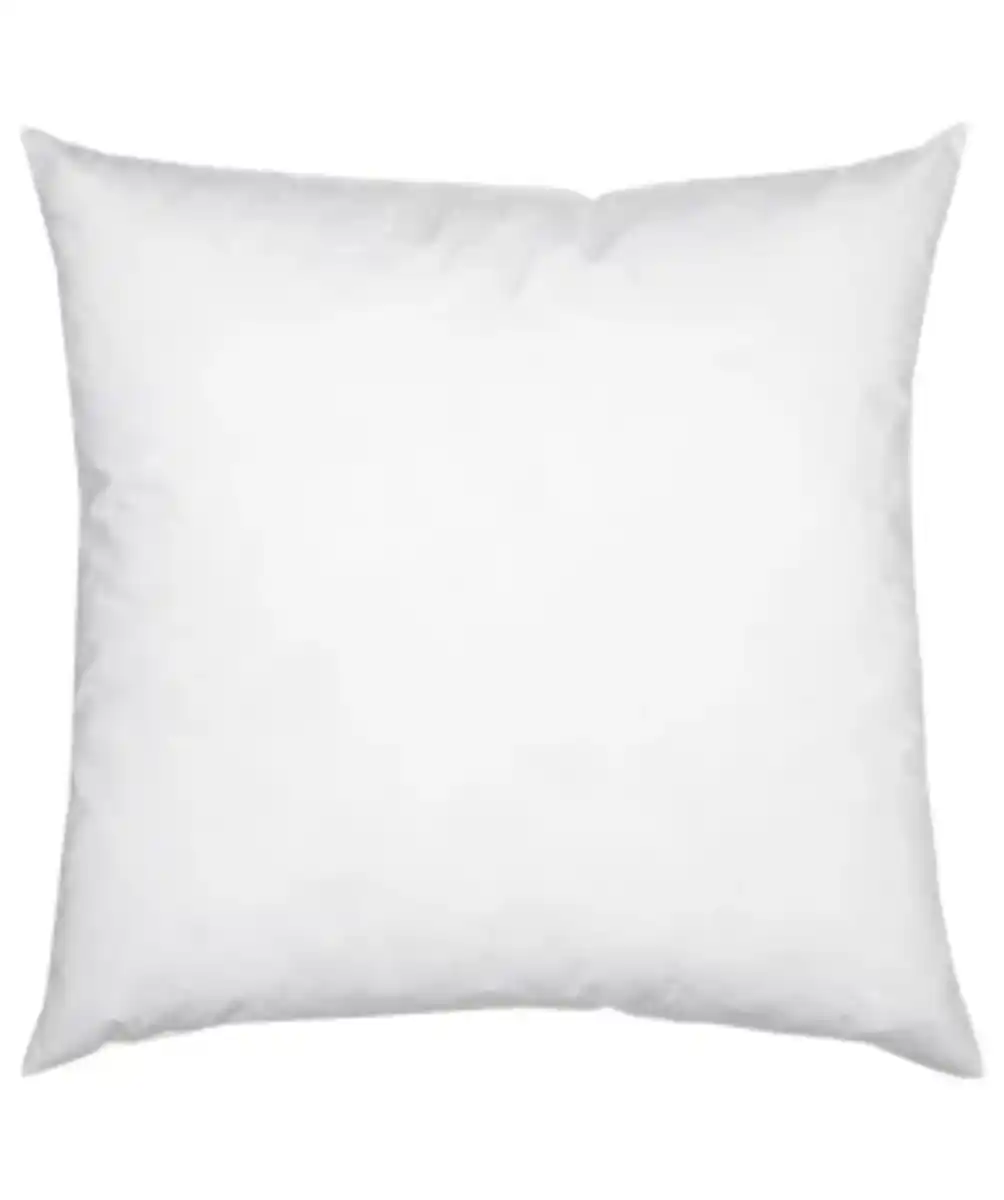 Bild 1 von Feder-Füllkissen Ergee, ca. 50 x 50 cm, weiß