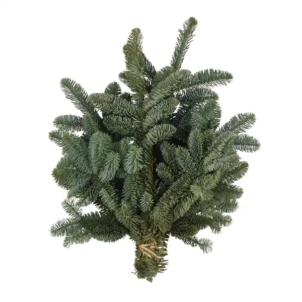 Bild 1 von Handbund-Tannengrün Nobilistanne 600 g