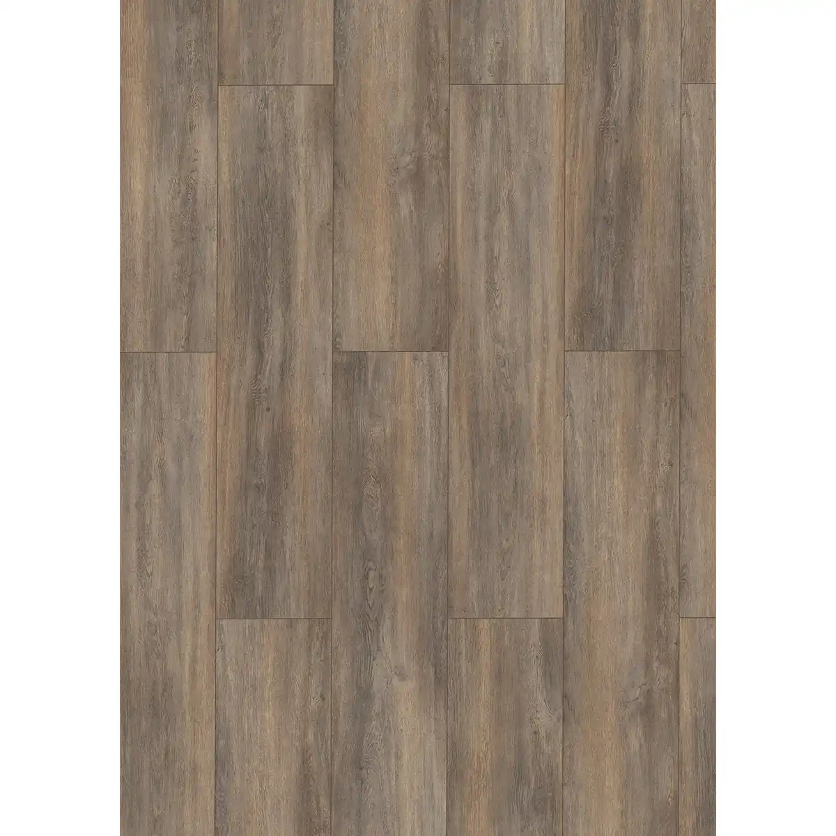 Bild 1 von toom Laminat 'Mediterran XL WR' Canyon Eiche naturfarben 8 mm