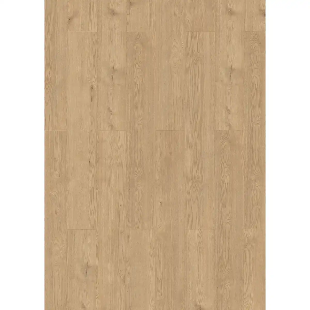 Bild 1 von toom Laminat 'Mediterran' Chester Eiche naturfarben 8 mm