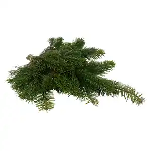 Handbund-Tannengrün Nordmanntanne 500 g