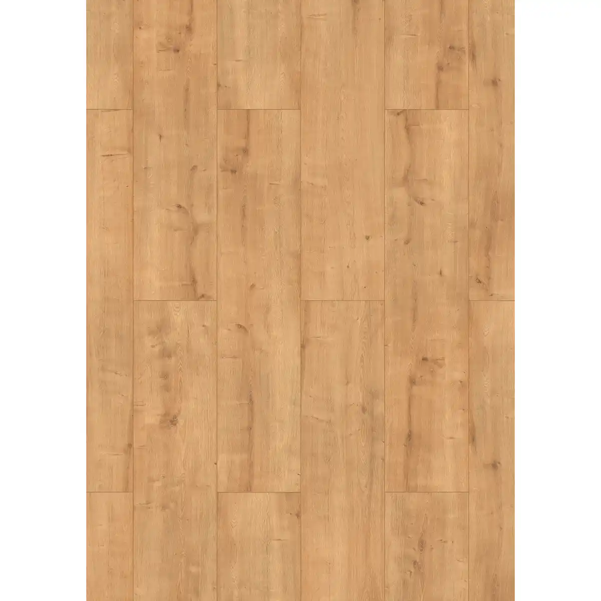 Bild 1 von toom Laminat 'Mediterran XL WR' Burlington Eiche naturfarben 8 mm