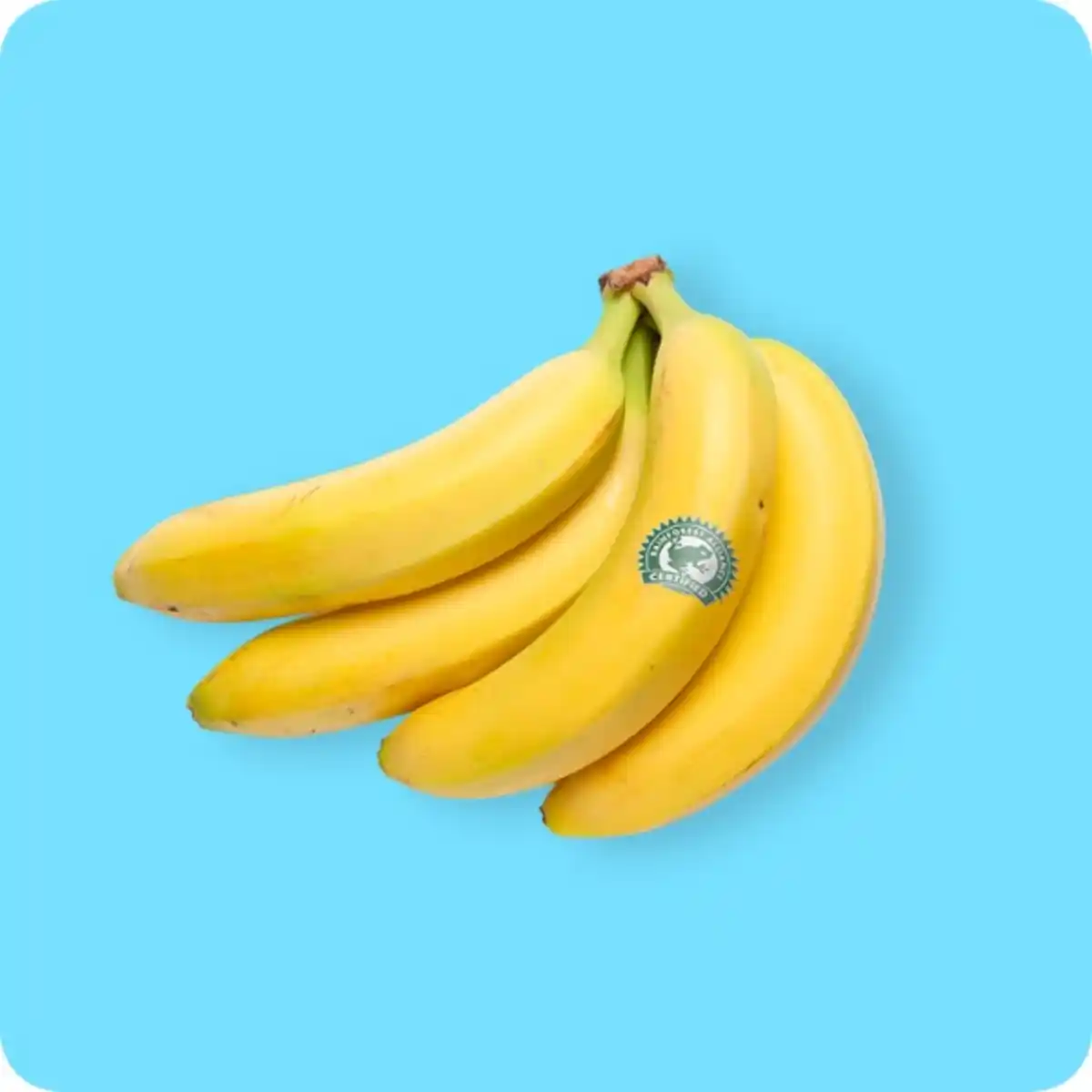 Bild 1 von   Rainforest Alliance Bananen, Ursprung: Ecuador / Costa Rica / Guatemala / Kolumbien