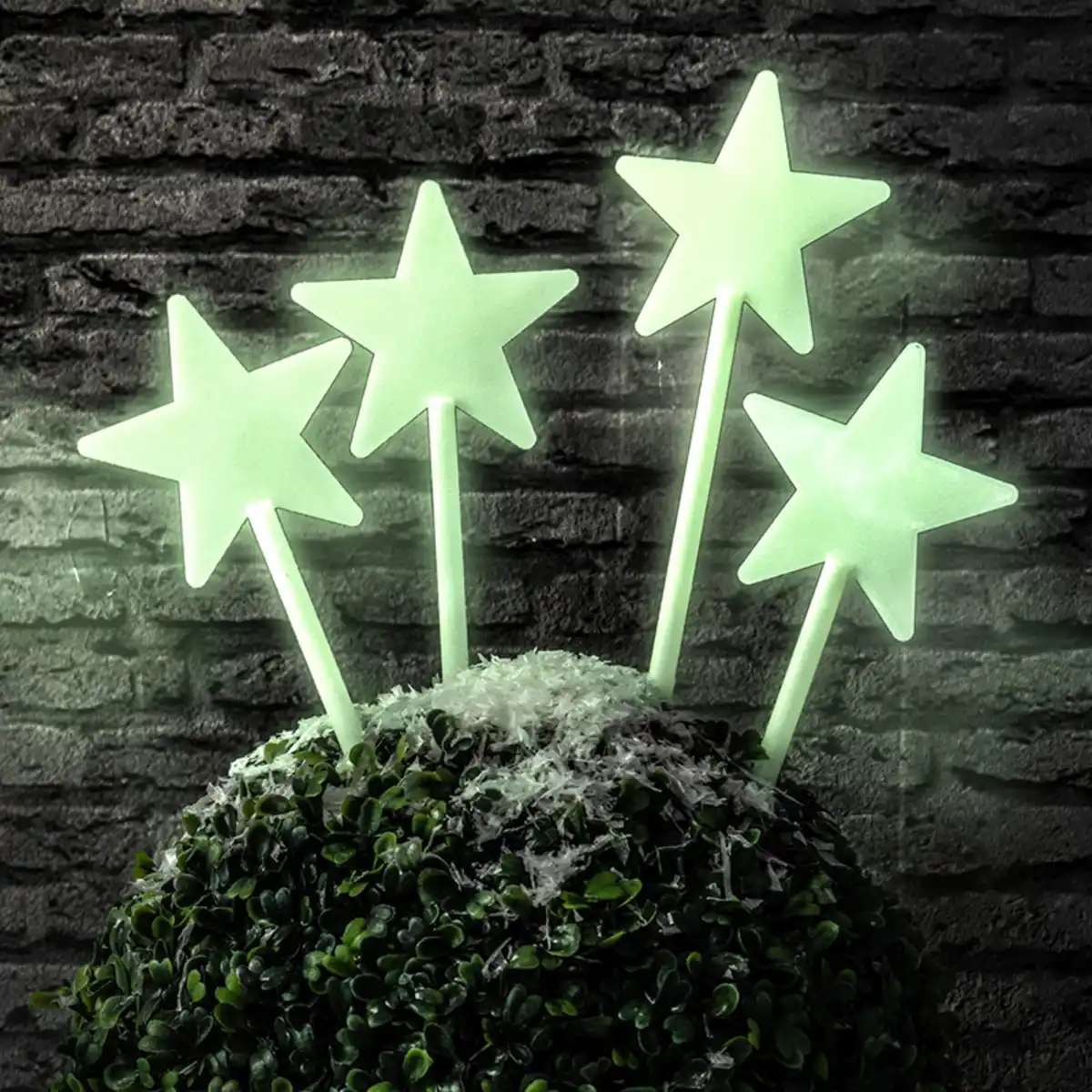 Bild 1 von Bella Casa Leuchtsterne 4er-Set