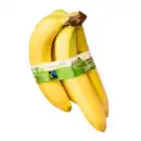 Bild 1 von GUT BIO Bio-Bananen, Fairtrade