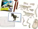 Bild 2 von Clementoni Ausgrabungs-Set T-Rex 69404