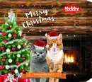 Bild 1 von Nobby Adventskalender StarSnack für Katzen