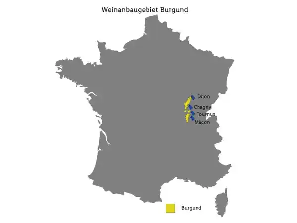 Bild 3 von Sansibar Cuvée Prestige Crémant de Bourgogne AOC brut, Schaumwein