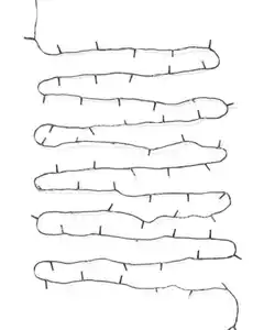 Lichterkette, 27,9 m mit 200 Lampen