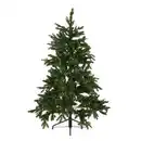 Bild 1 von Weihnachtsbaum in Grün ca. 155cm