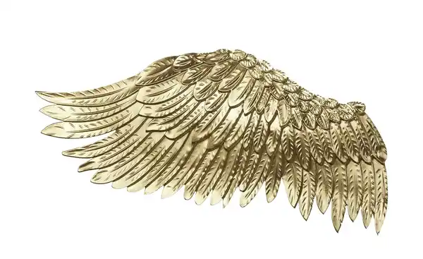 Bild 2 von HOME STORY Wandobjekt Flügel, 2er-Set