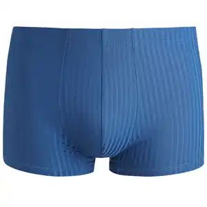 Herren Mikrofasershorts mit Streifen BLAU