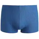 Bild 1 von Herren Mikrofasershorts mit Streifen BLAU