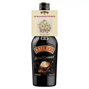 BAILEYS Salted Caramel 0,5 l