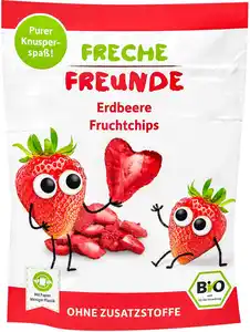 ERDBÄR Freche Freunde Bio-Fruchtchips, 10 - 16-g-Packg.