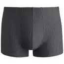 Bild 1 von Herren Mikrofasershorts mit Streifen DUNKELGRAU