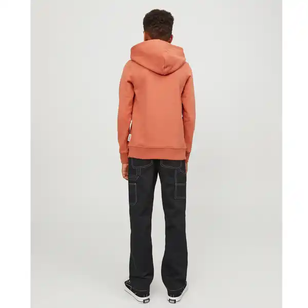 Bild 2 von Jack&Jones Junior JORLAKEWOOD SWEAT HOO Hoodie Braun