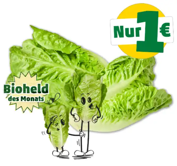 Bild 1 von NATURGUT Bio-Romana-Salatherzen