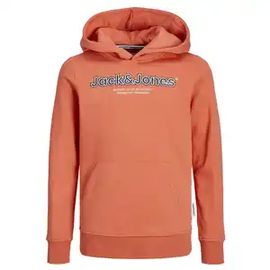 Jack&Jones Junior JORLAKEWOOD SWEAT HOO Hoodie Braun