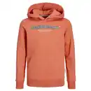 Bild 1 von Jack&Jones Junior JORLAKEWOOD SWEAT HOO Hoodie Braun