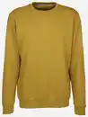 Bild 1 von Herren Sweatshirt mit Stickerei Gelb