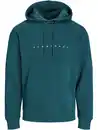 Bild 1 von Jack&Jones 12233972 JJESTAR JJ SWEAT HOOD Hoodie Grün