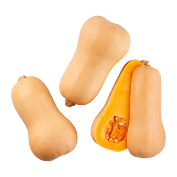 Bild 1 von Speisekürbis „Butternut“