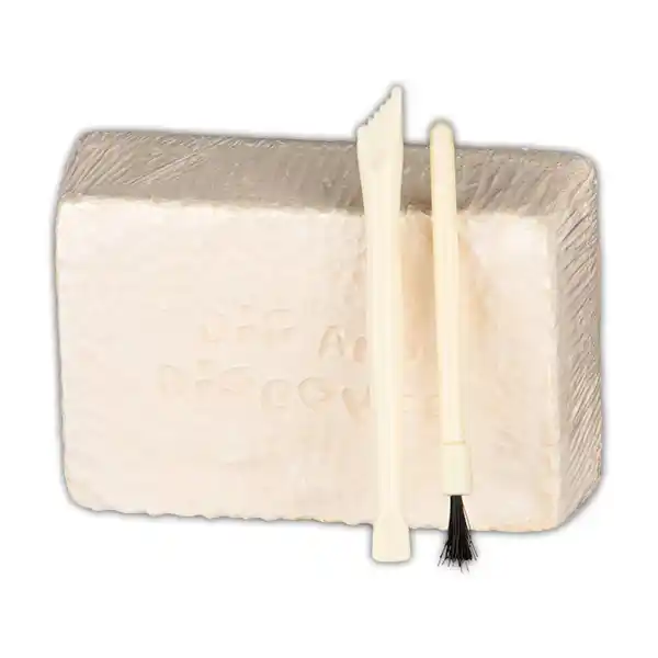 Bild 2 von Tiny Dinos Ausgrabungs-Komplett-Set