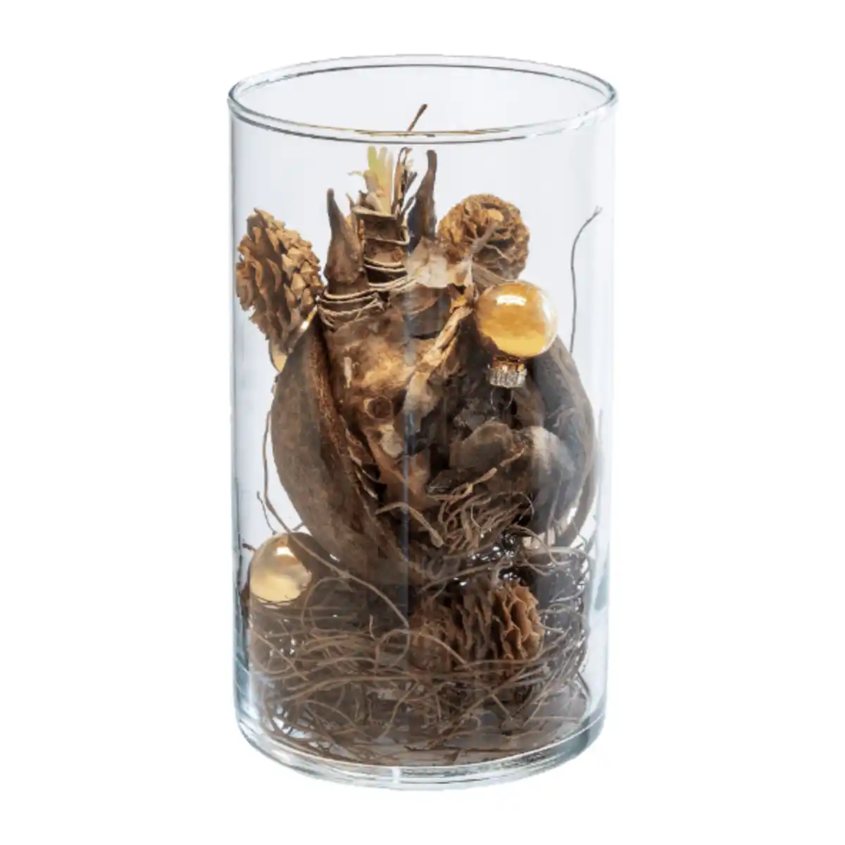 Bild 4 von GARDENLINE Weihnachtliche Amaryllis im Glas