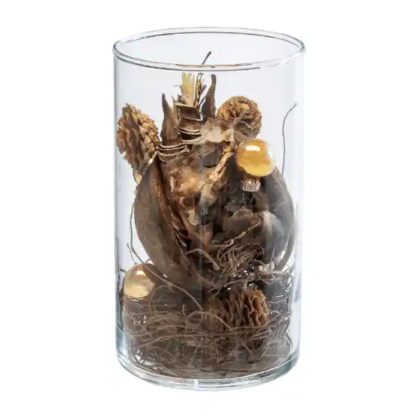 Bild 4 von GARDENLINE Weihnachtliche Amaryllis im Glas