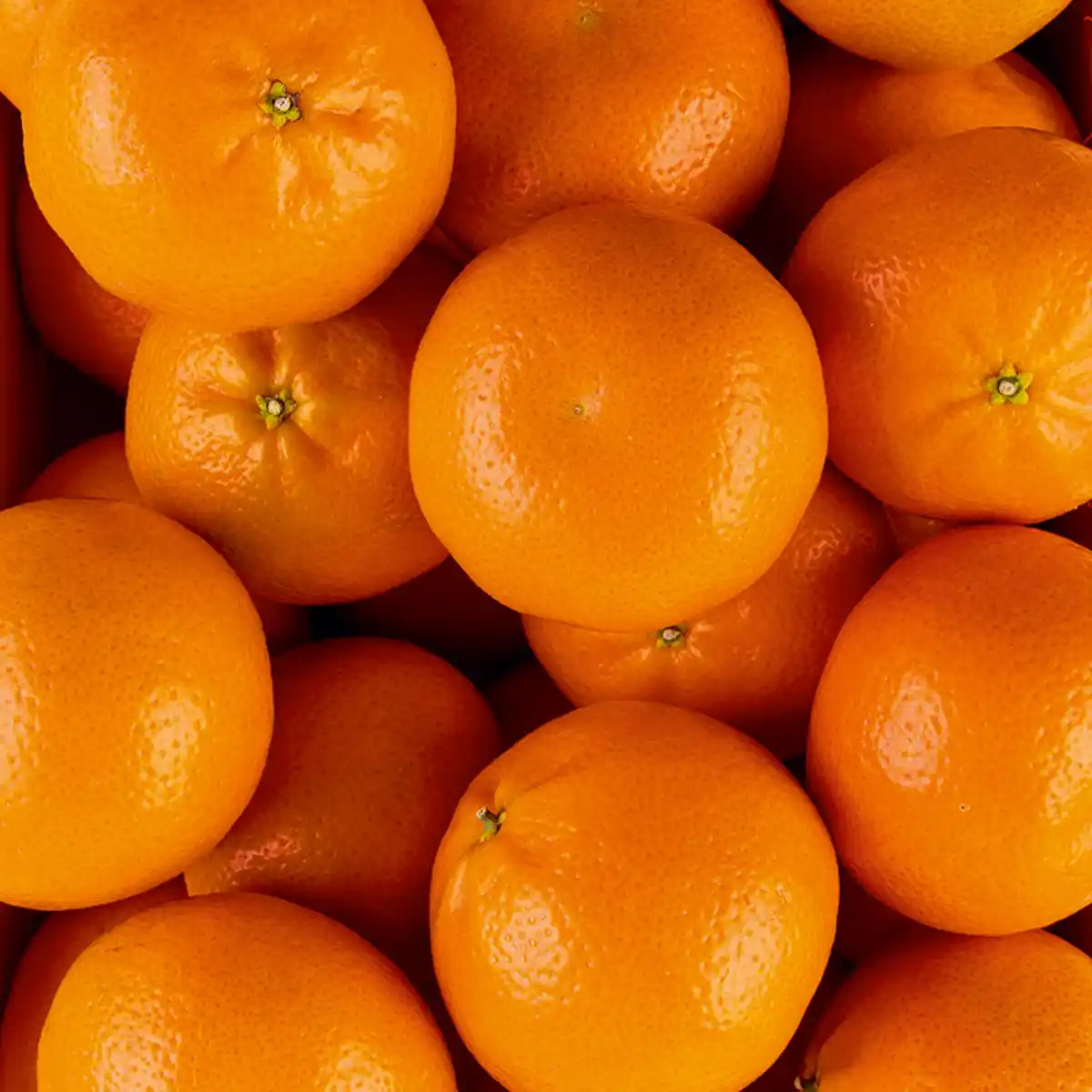 Bild 2 von Götterfrucht Premium Clementinen "Götterfrucht"