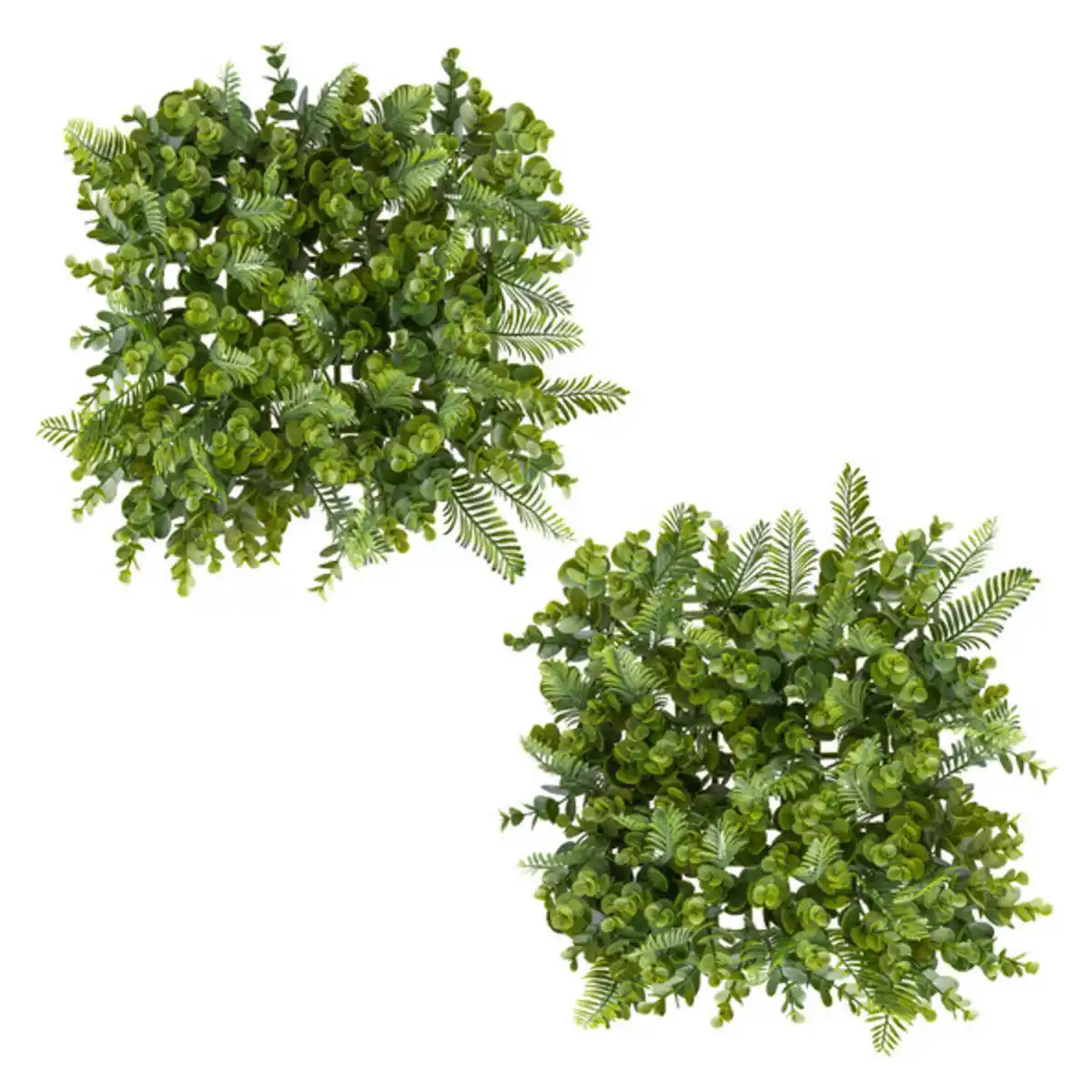 Bild 1 von Künstl. Eukalyptus-Farn Wandmatte, 25x25cm, Kunststoff, 2er Set