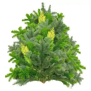 Tannenhandbunde 2500 g