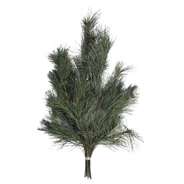 Bild 1 von GARDENLINE Tannenhandbunde 550 - 600 g