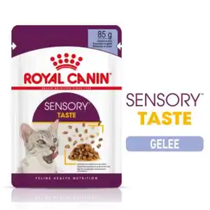 ROYAL CANIN SENSORY Taste in Gelee für wählerische Katzen 12x85g